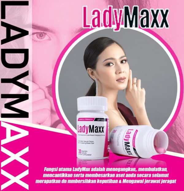 ladymaxx