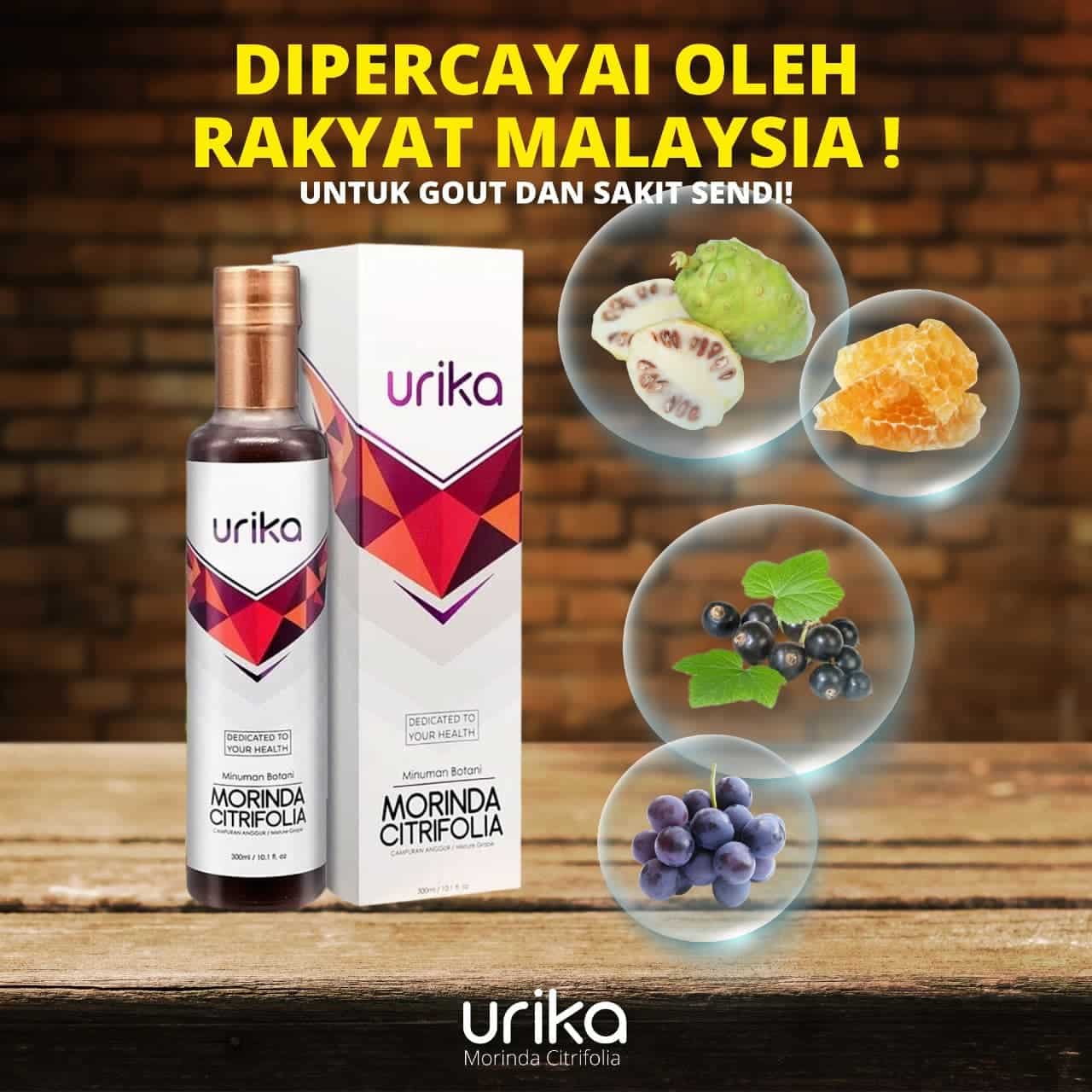 urika-jus-gout-urika-morinda-citrifolia (2)